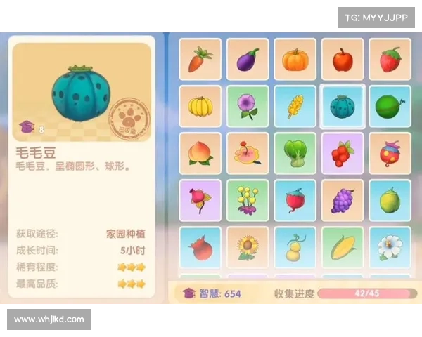 摩尔庄园毛毛豆最佳收集地点排名前五助你快速提高收集效率